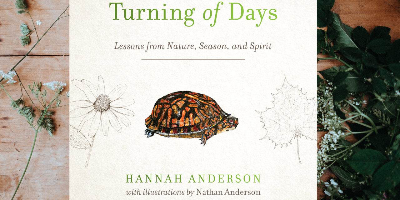 Honest Encounters: A Review of Hannah Anderson’s <em>Turning of Days</em>