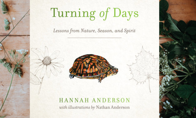 Honest Encounters: A Review of Hannah Anderson’s <em>Turning of Days</em>