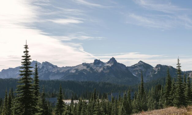 Principles of Christian Ministry in Cascadia